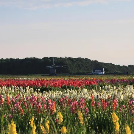 Landgoed Swaensborgh Apartamento Oudesluis (North Holland)