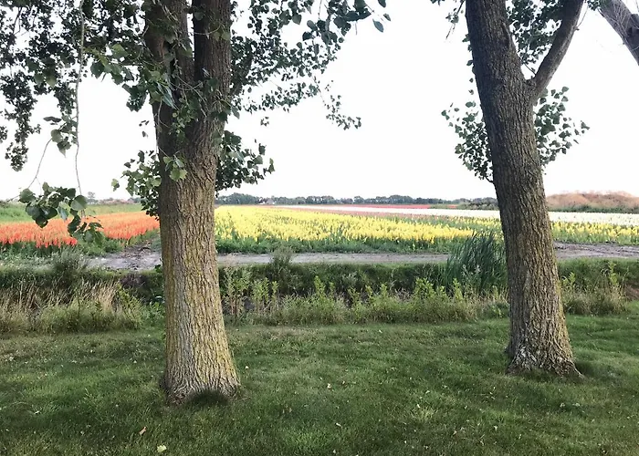 Landgoed Swaensborgh Daire