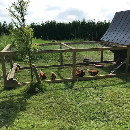 Landgoed Swaensborgh 公寓 Oudesluis (North Holland)